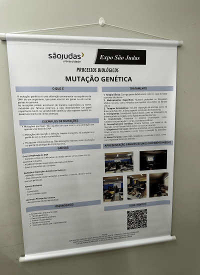 foko criativo 48